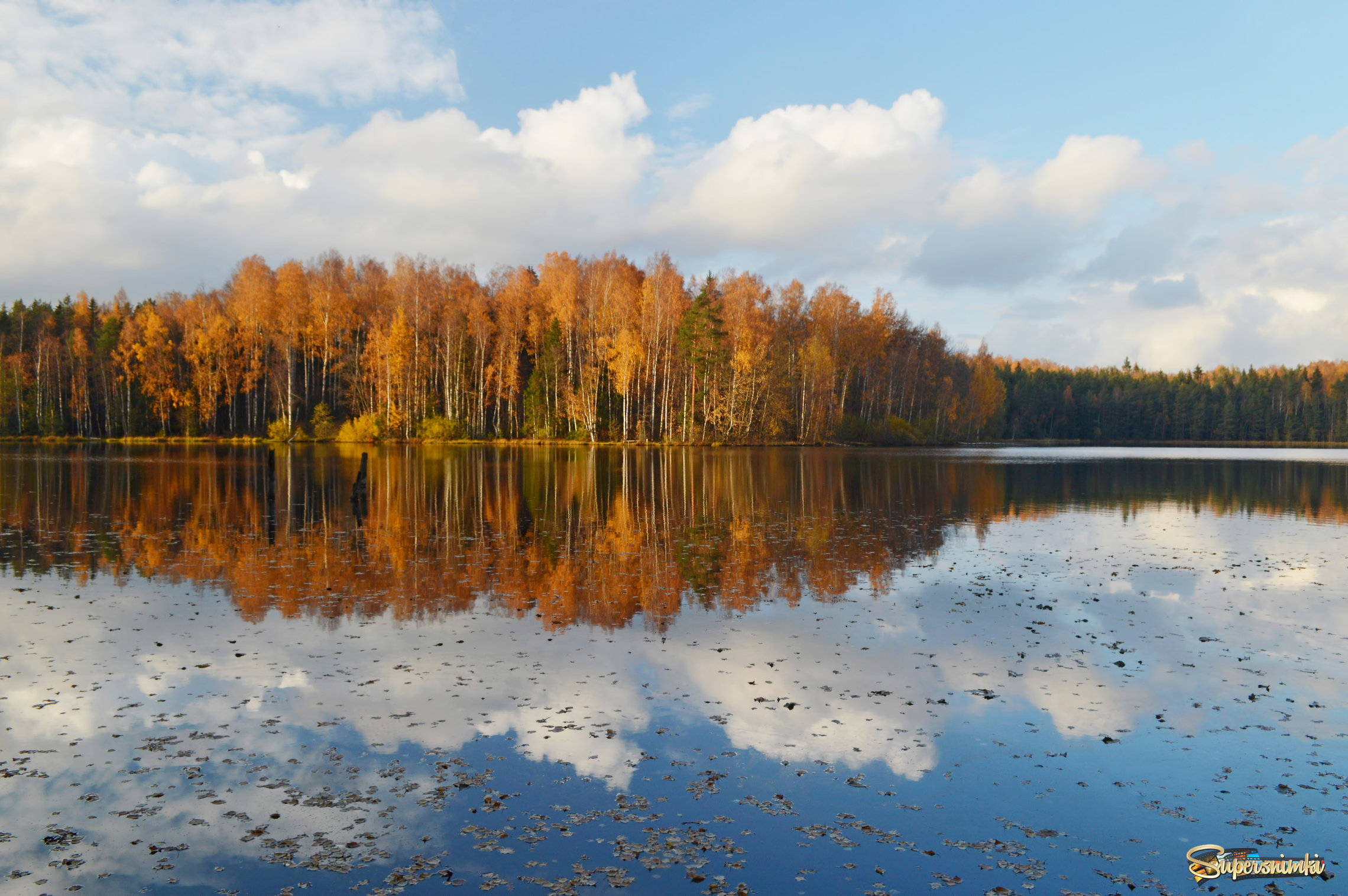 Осень зеркальная......