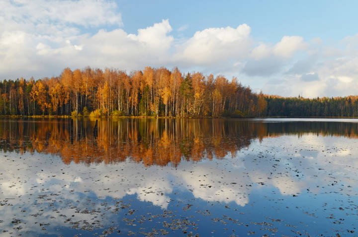 Осень зеркальная......