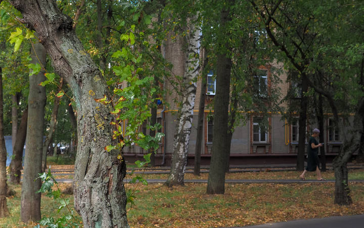Природа в Городе