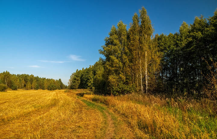 Середина сентября