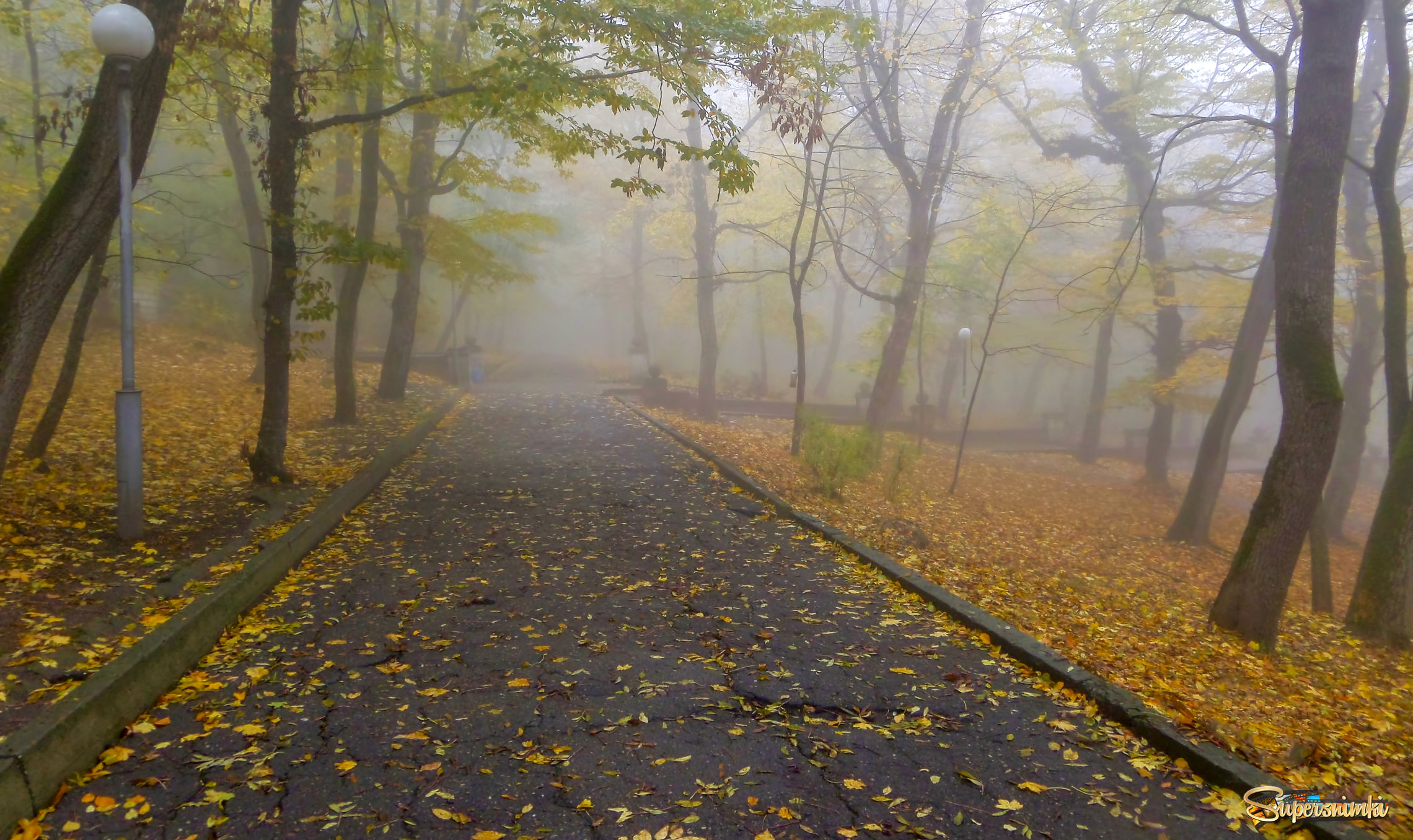 В старом парке......