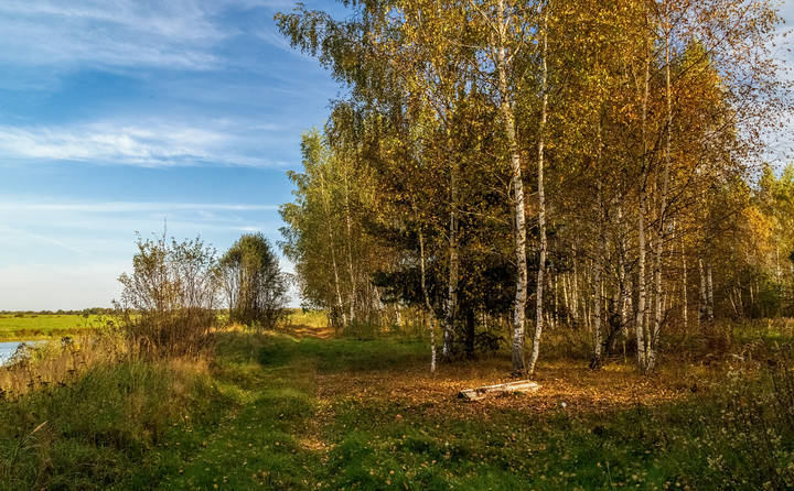 Осень он не спросит ....