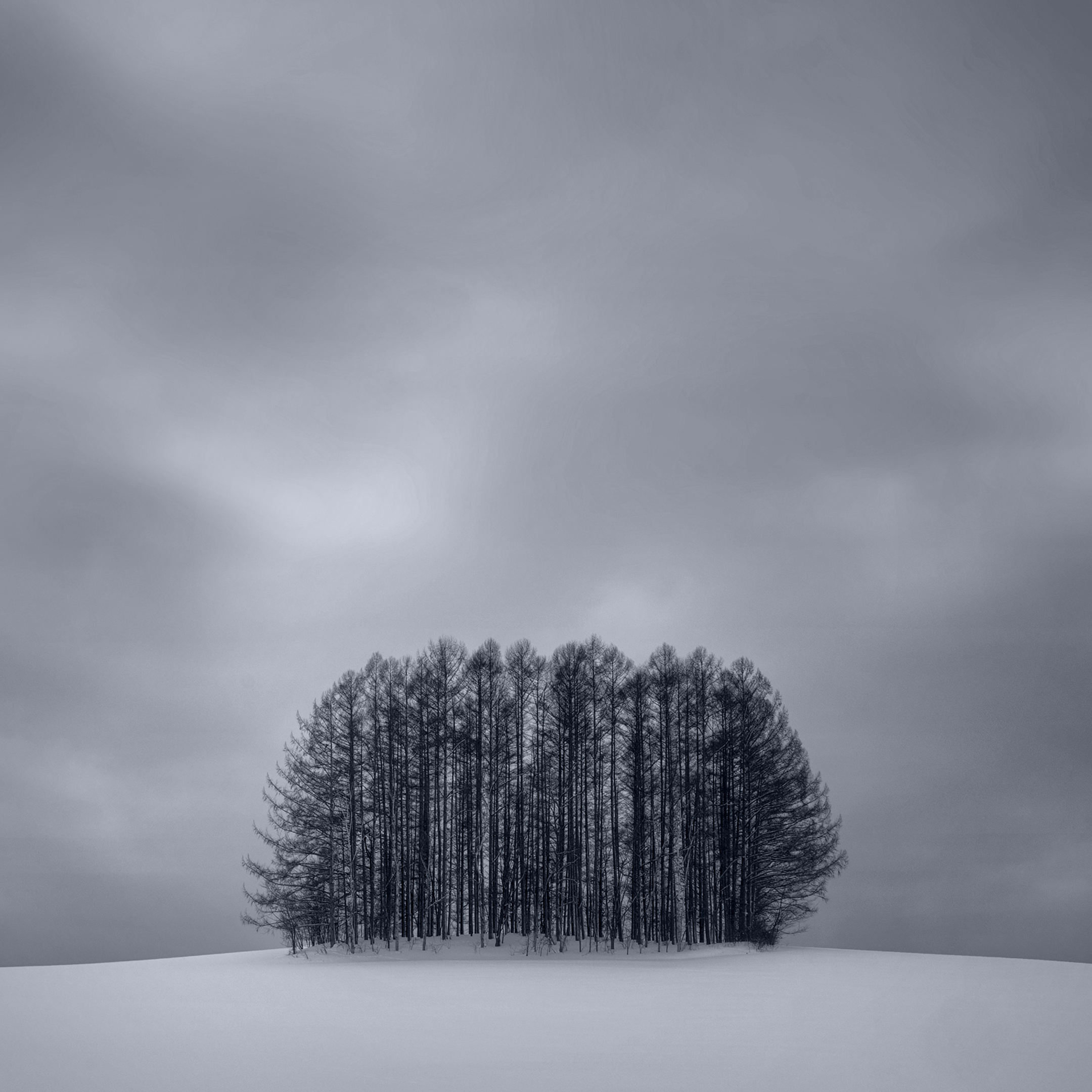 Minimalist winter landscapes of Hokkaido