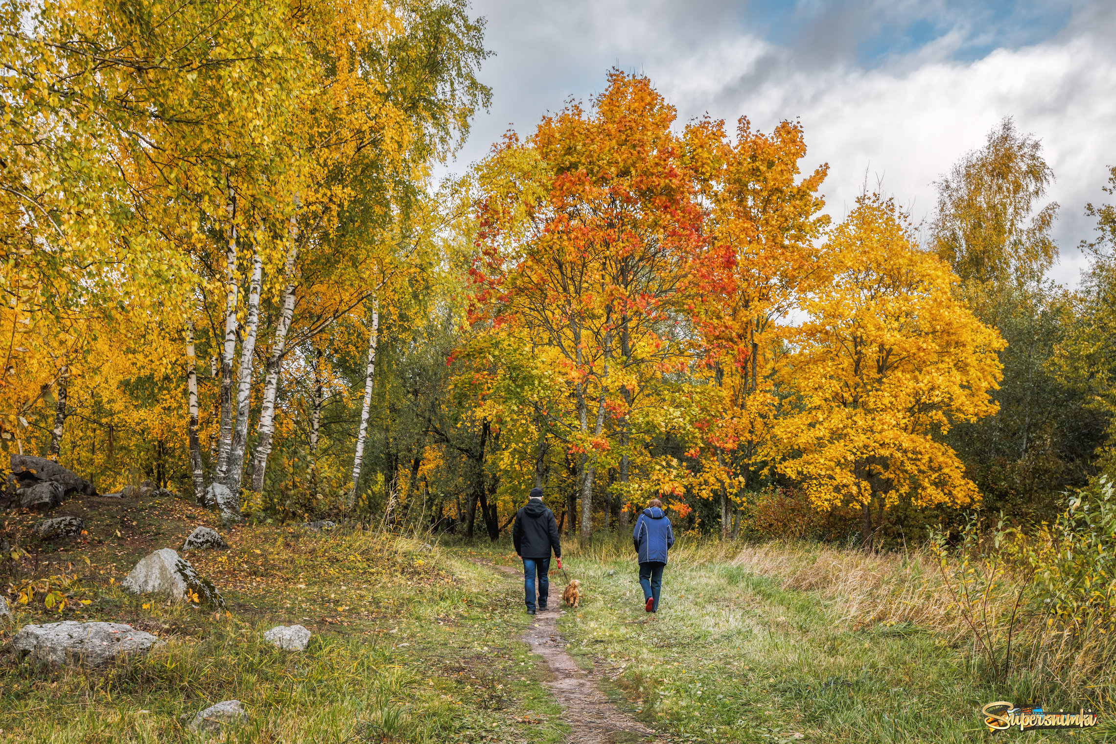 В осеннем парке