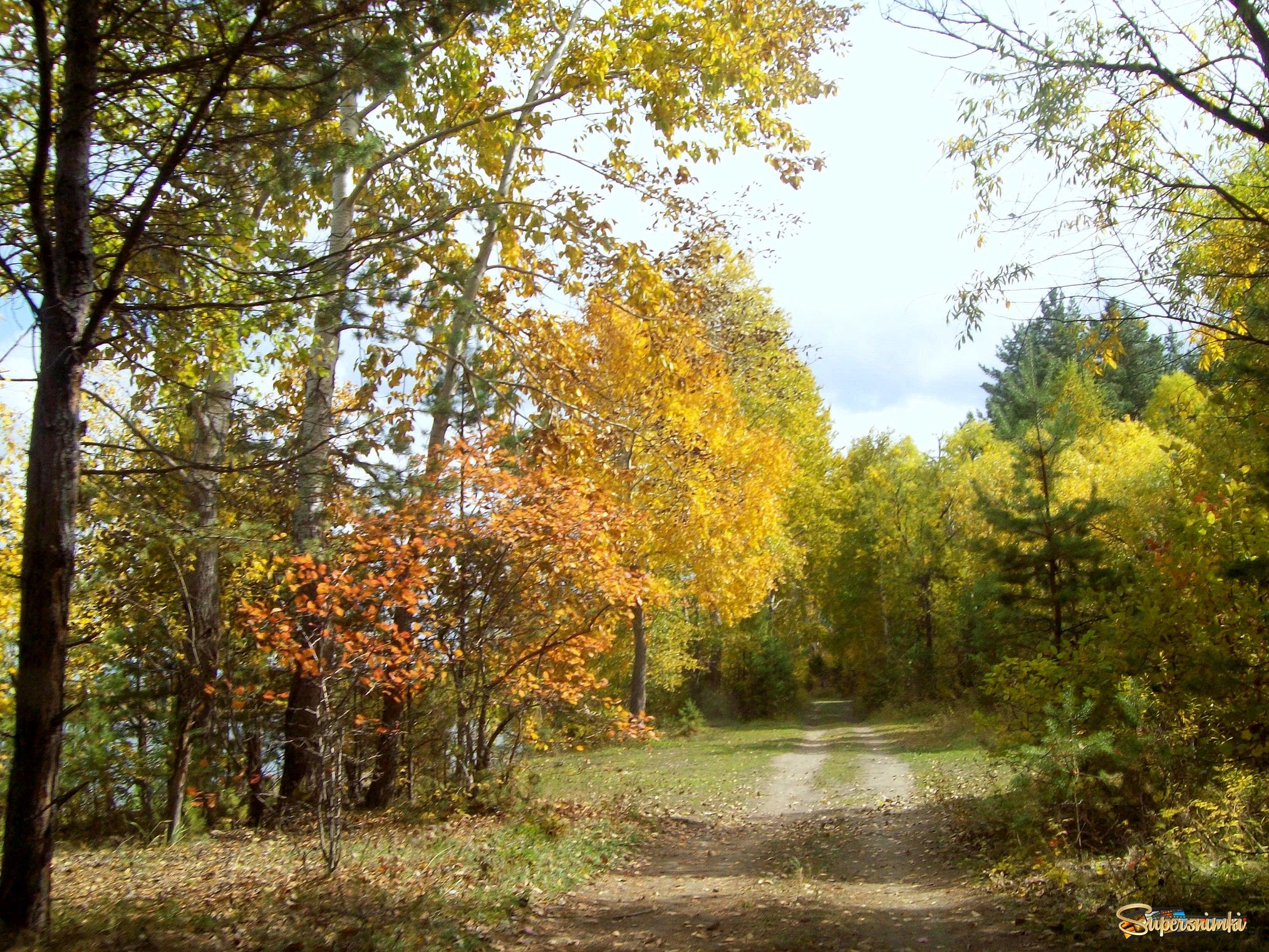 Осенняя дорога