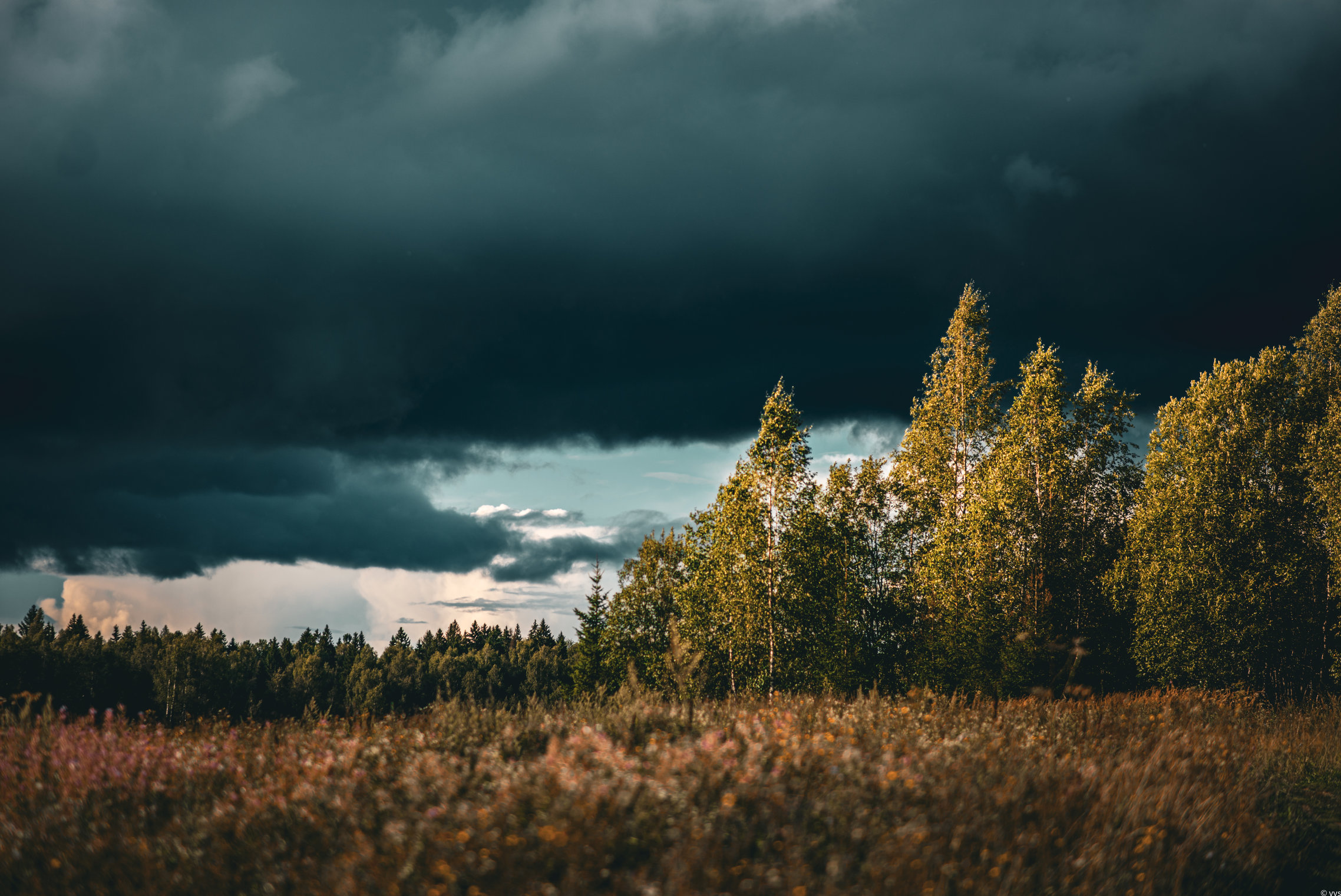 Во поле березЫ стоялИ, Во поле кудрявЫЕ стоялИ. Люли-люли, стоялИ, Люли-люли, стоялИ.