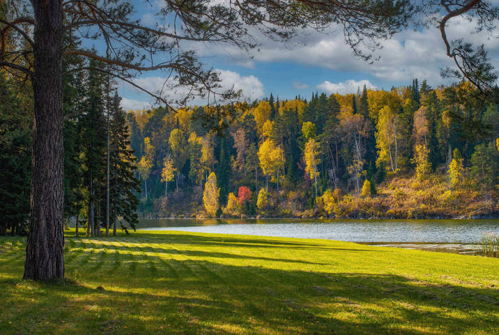 Осенняя благодать