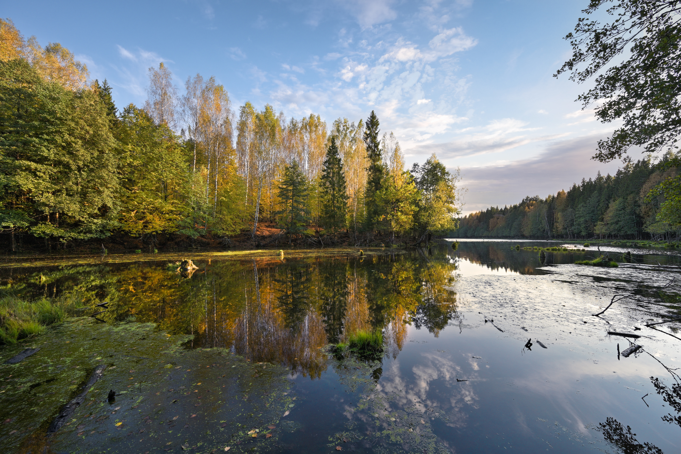 краски сентября