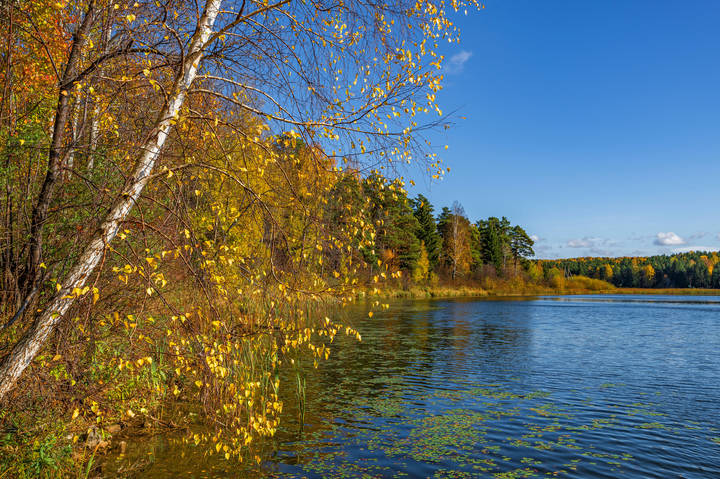 Осень в сентябре