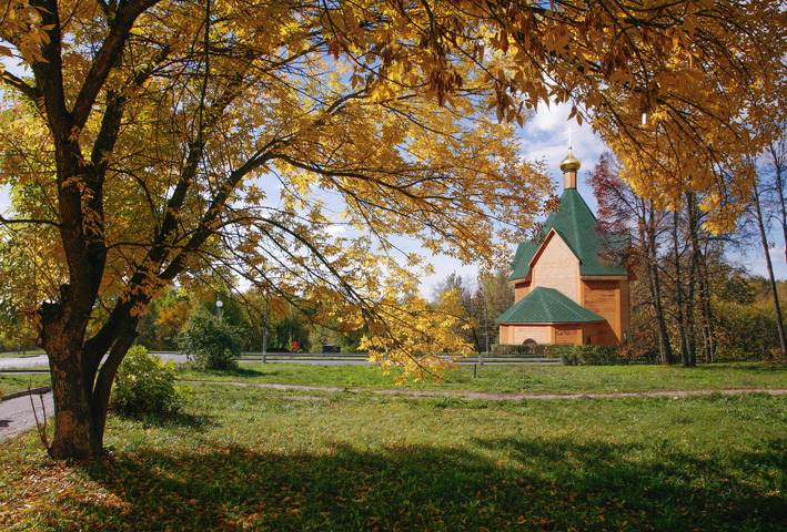 В золотом  обрамлении.