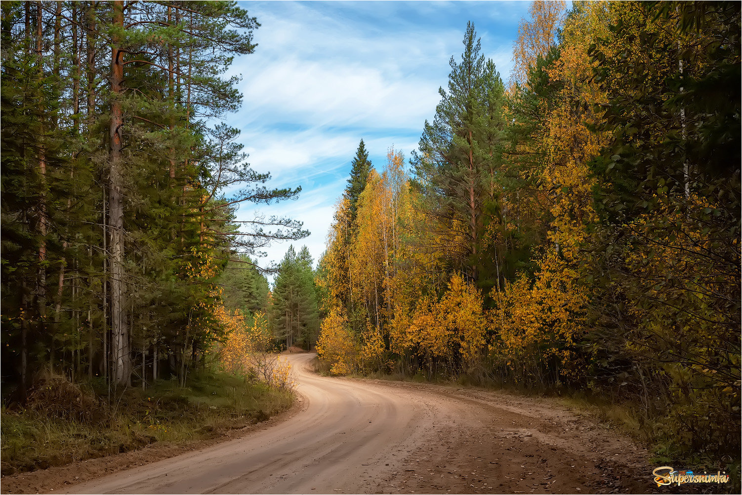 Осенний лес