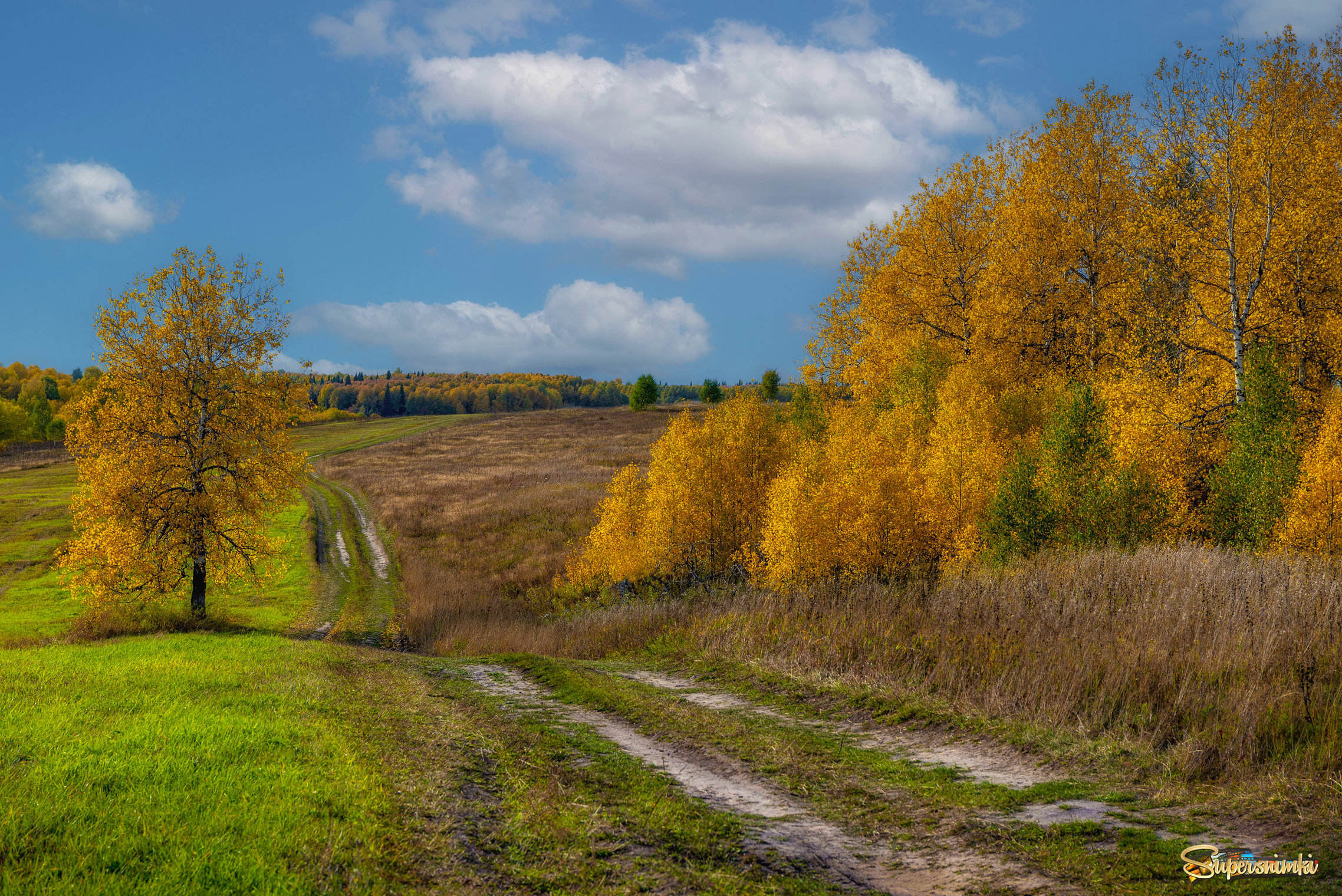 Осенний пейзаж