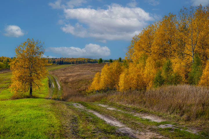 Осенний пейзаж