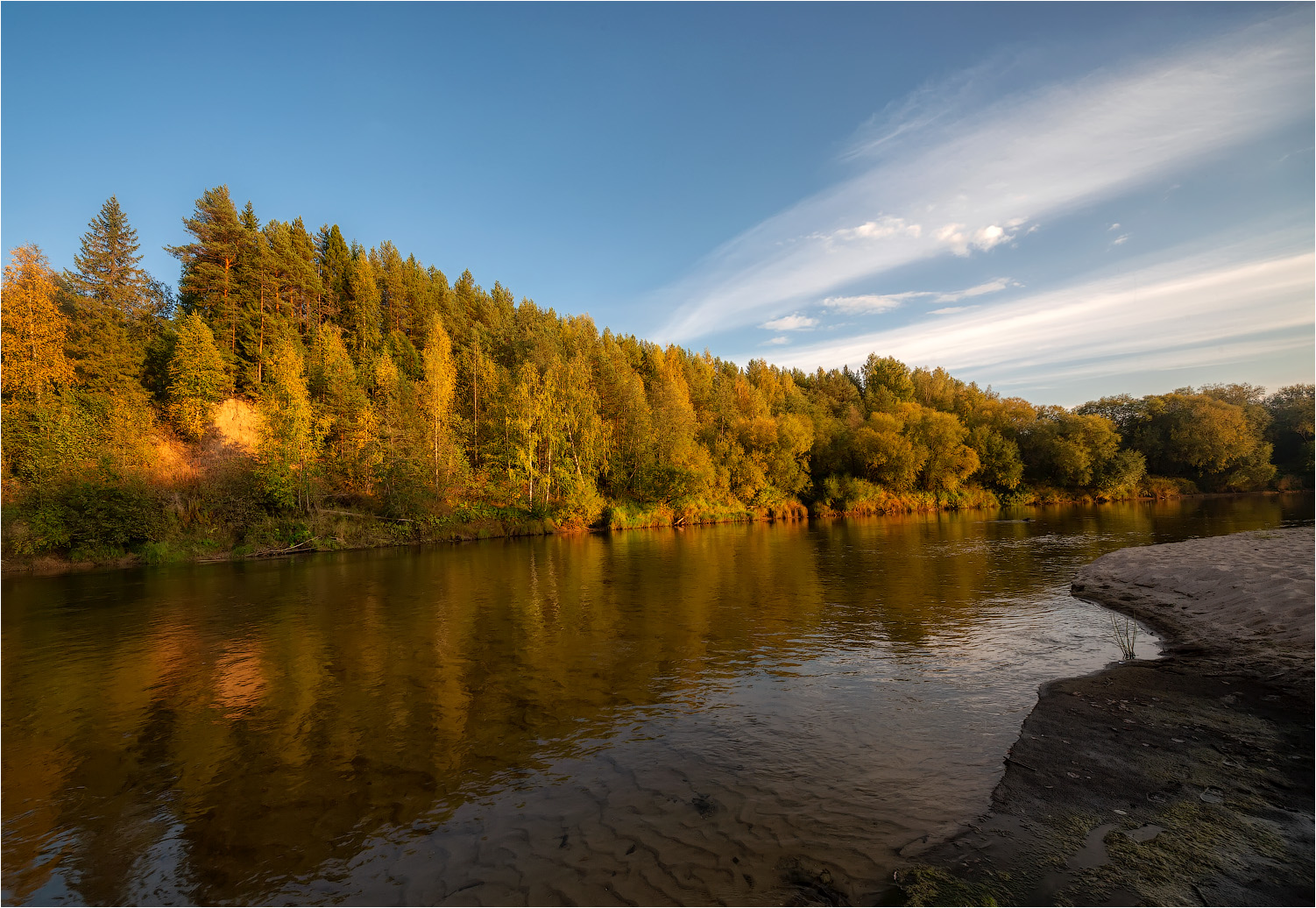 Осенний берег