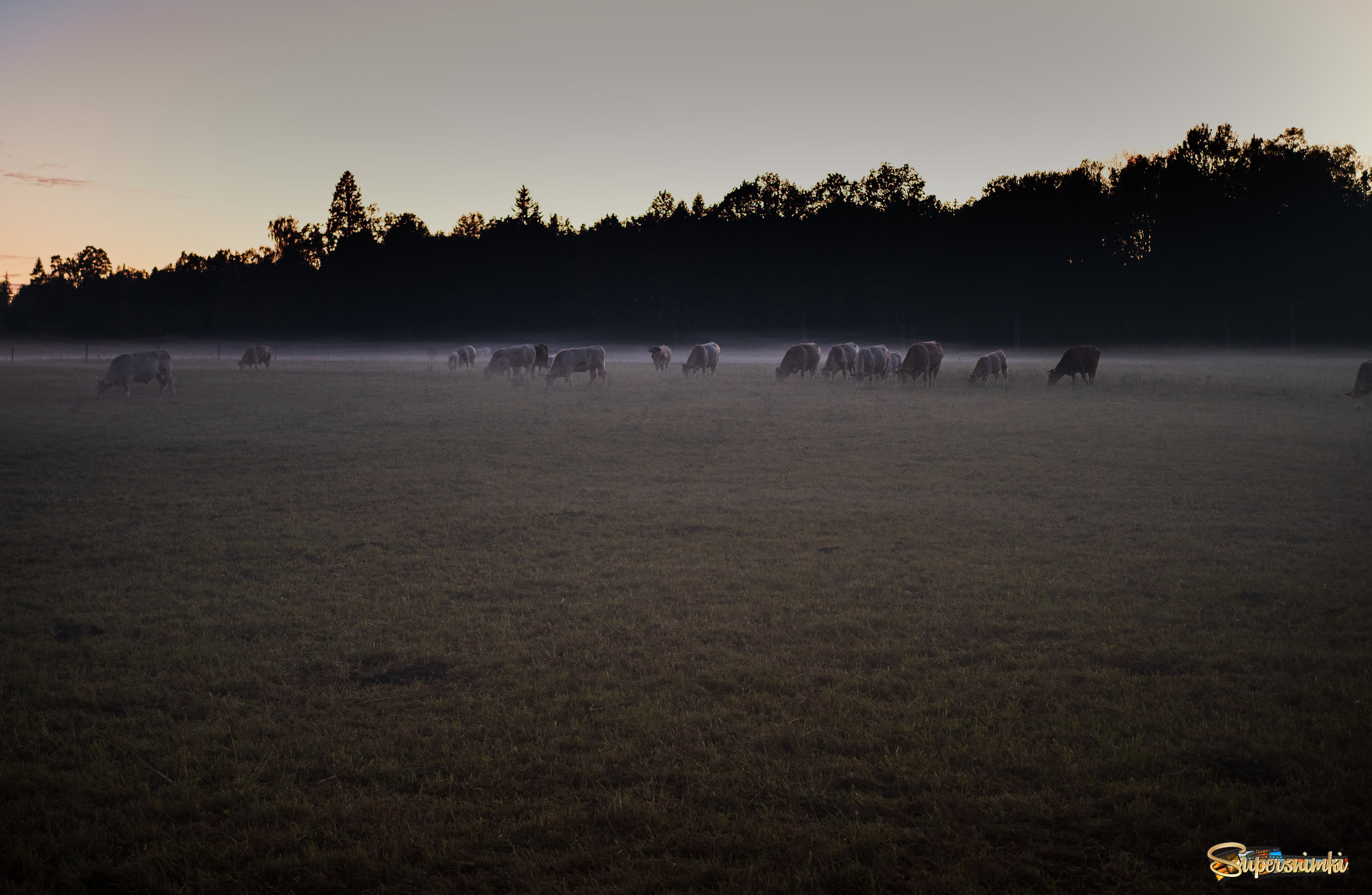 6707f460299bbee554afb0d3