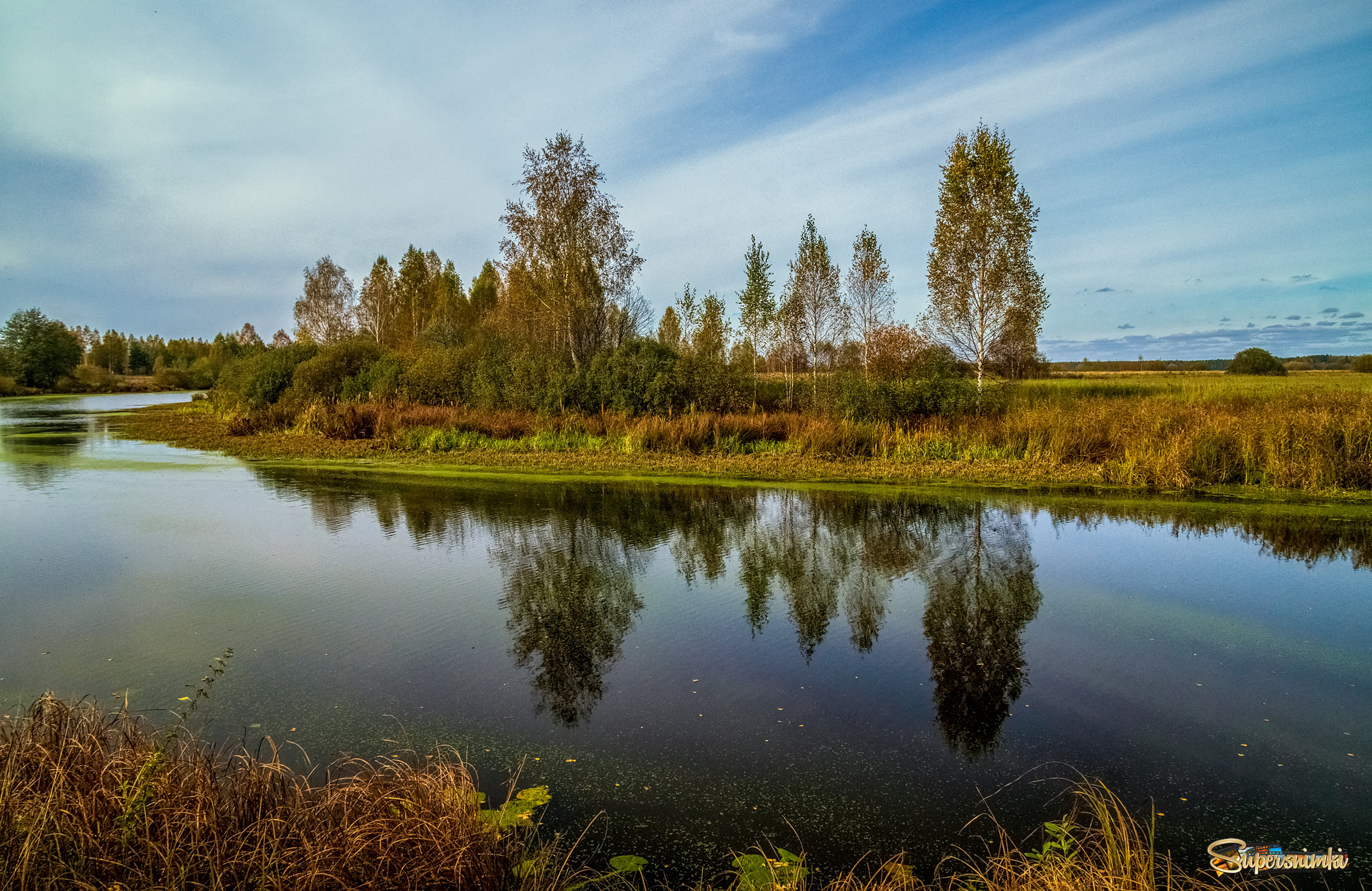 Подмосковный октябрь 6 