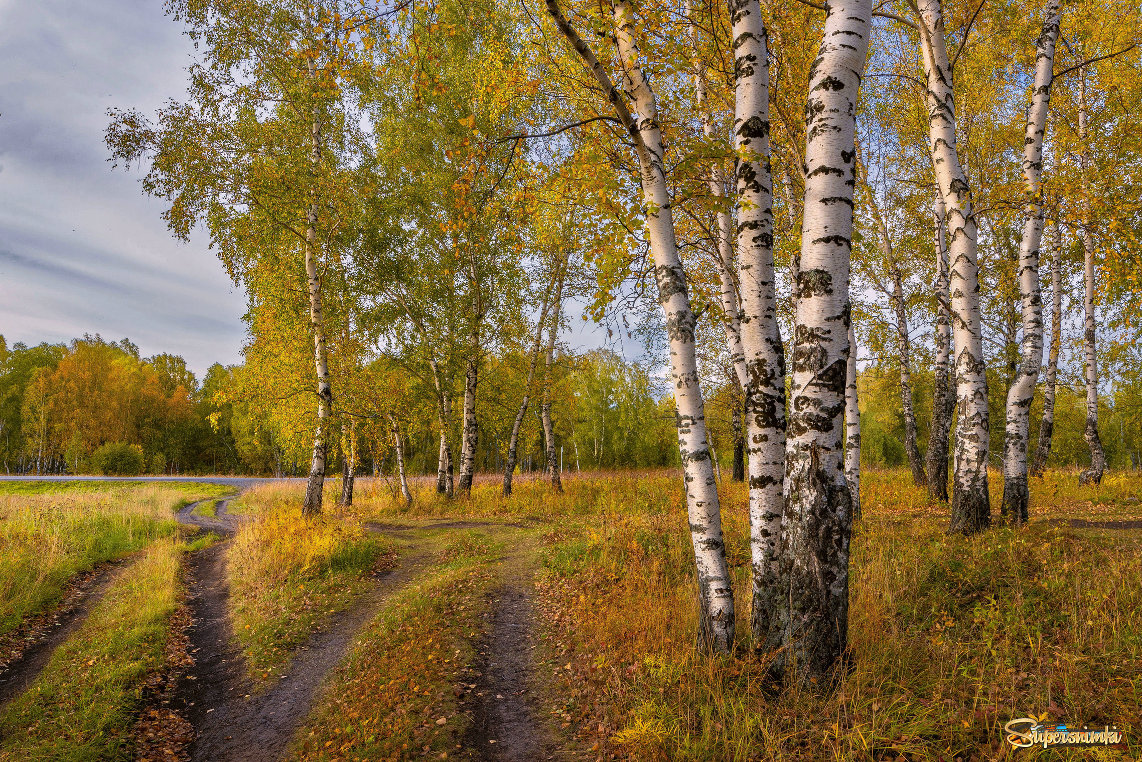 Осенний лес