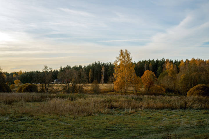 Осень