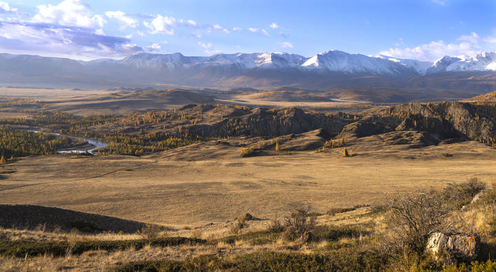 Курайская степь