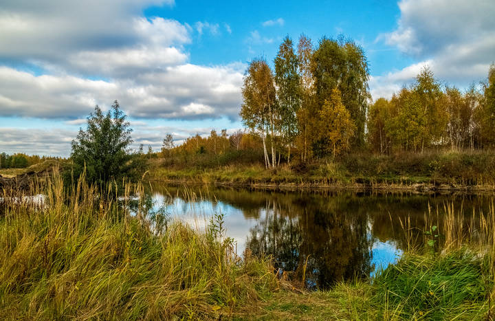 Взгляд на Осень 5 