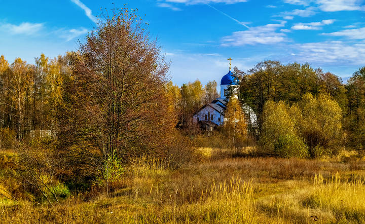 Взгляд на Осень 8