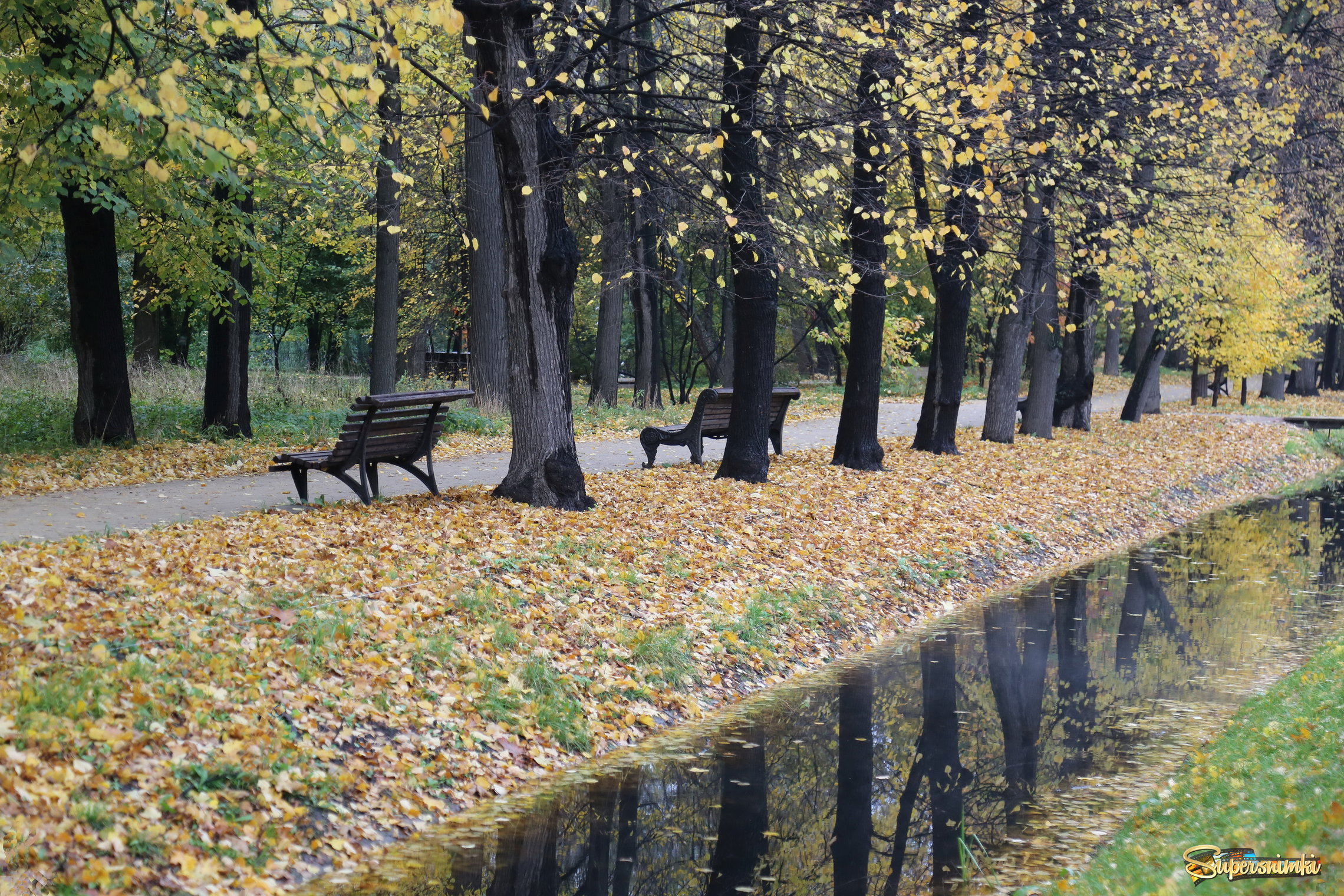 Осень в Аптекарском