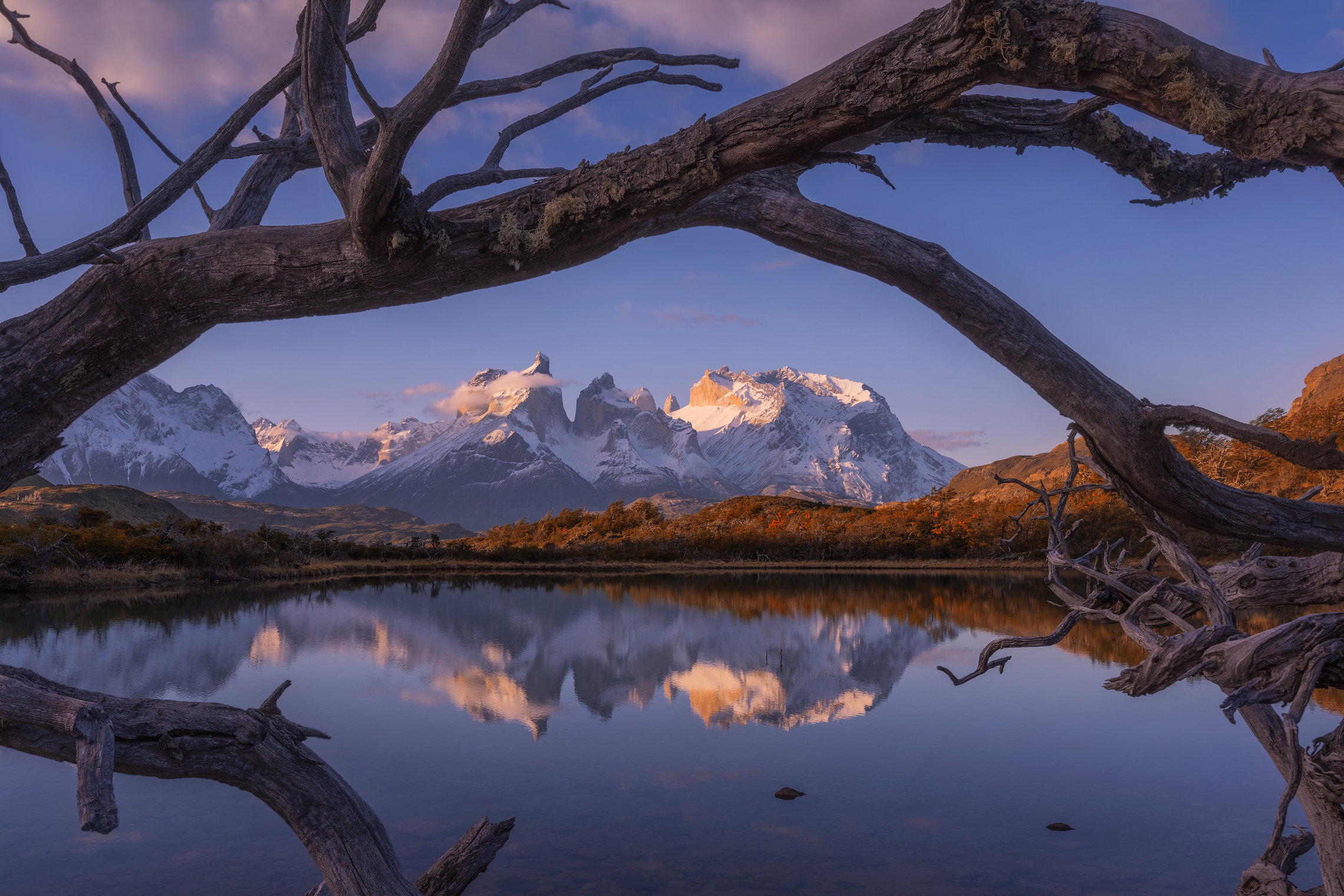 Magnificent Patagonia