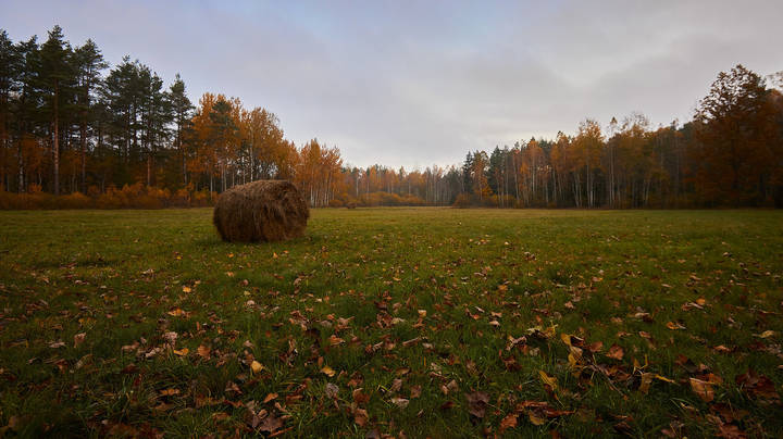 Осень