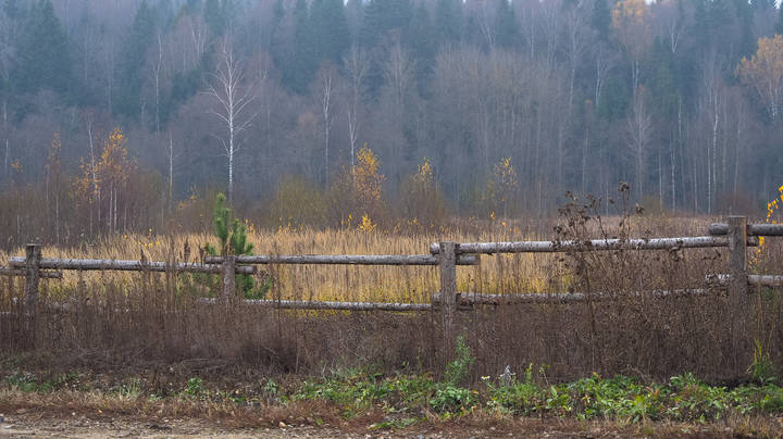 Подмосковные Пейзажи