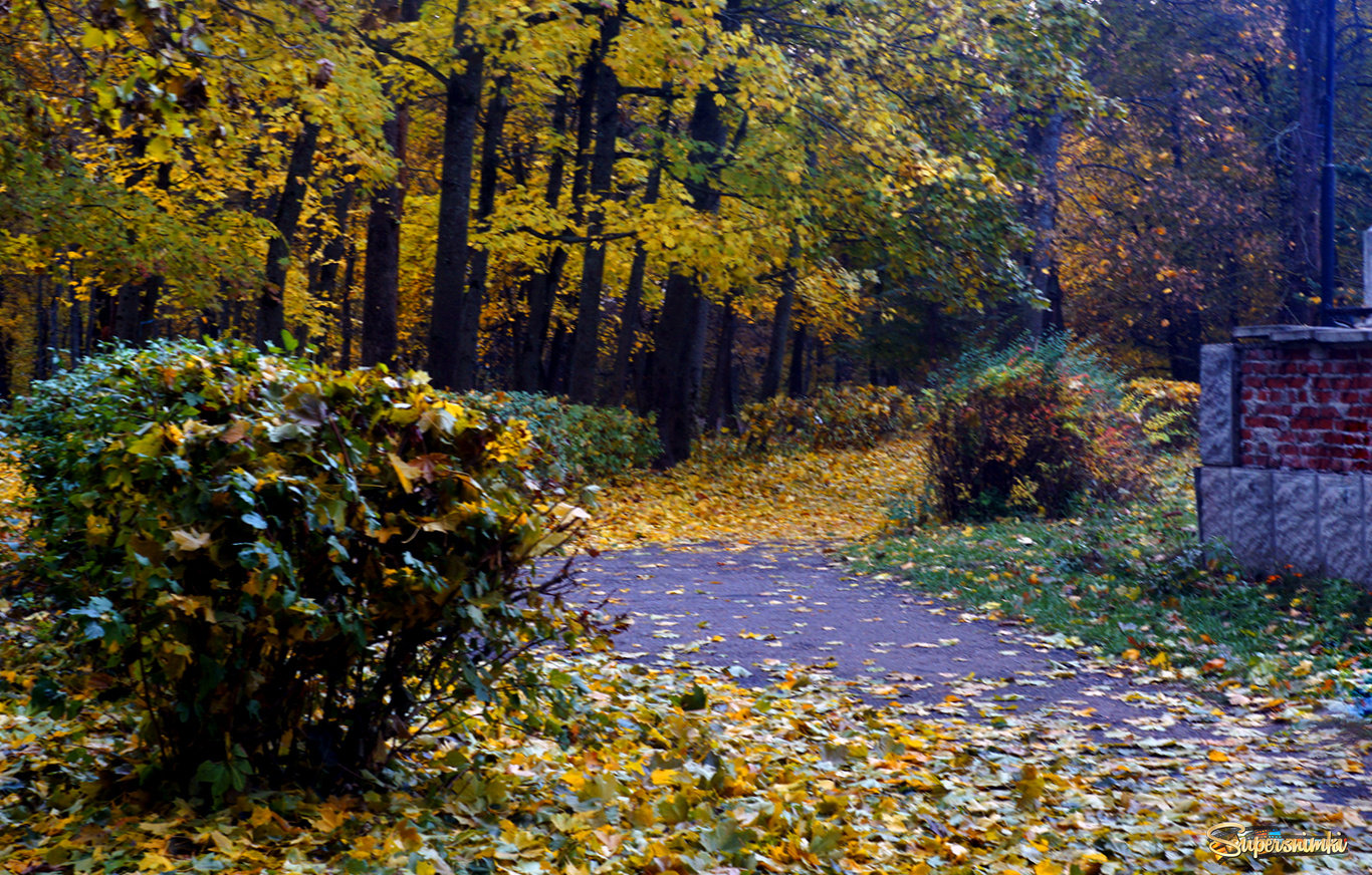 Осенний  парк