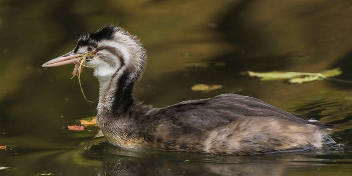 # 2
