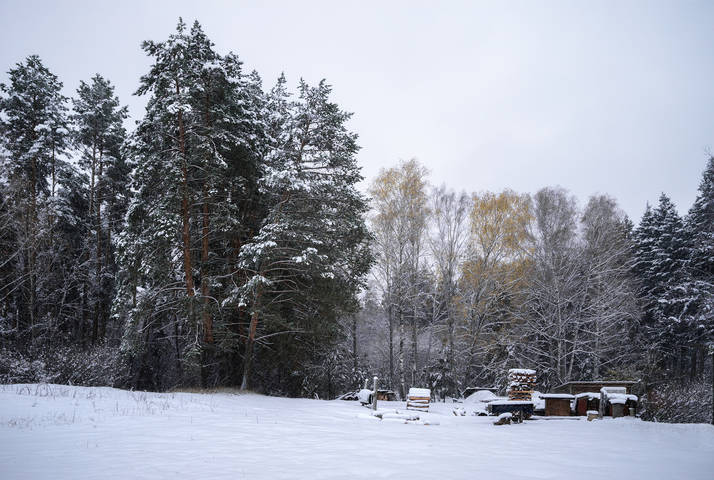 Осень по-зимнему
