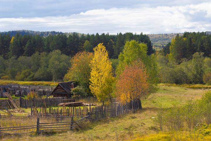 ОСЕННЕЕ