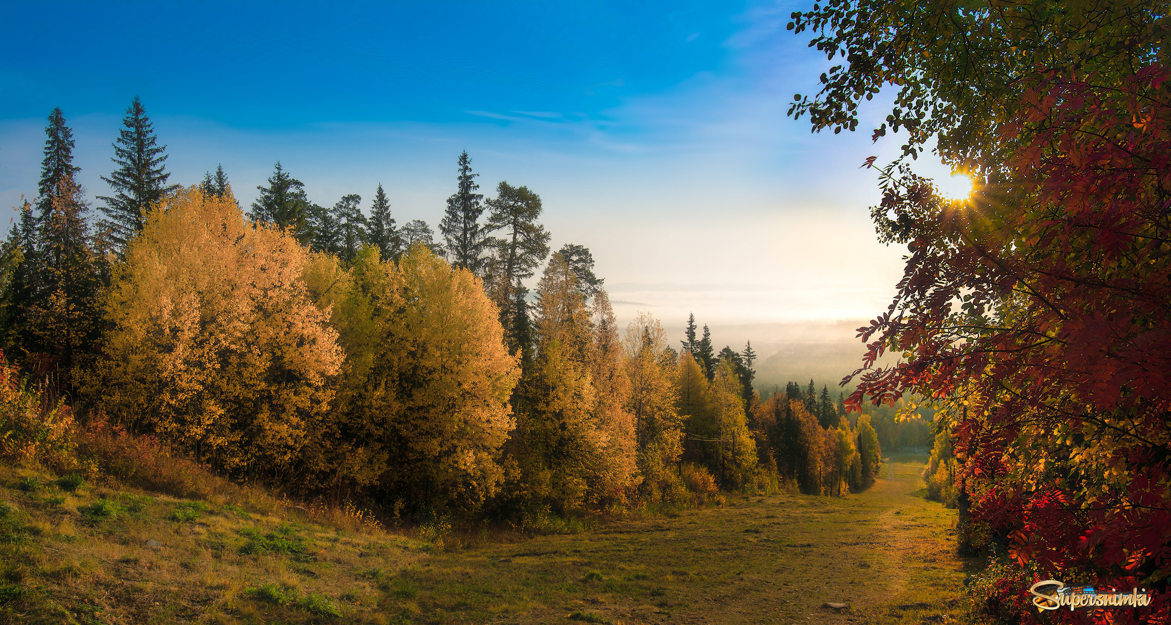 Желтая, красная осень