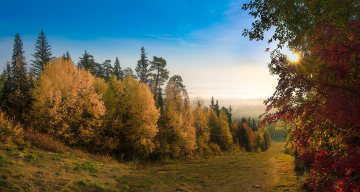 Желтая, красная осень