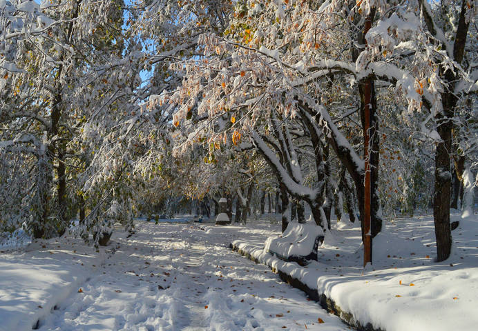 В парке осеннем....
