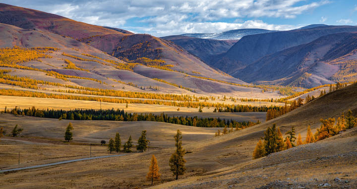 Осенний Курай