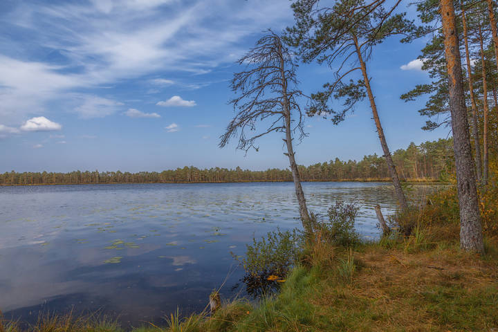 Осень. Озеро Худичево..