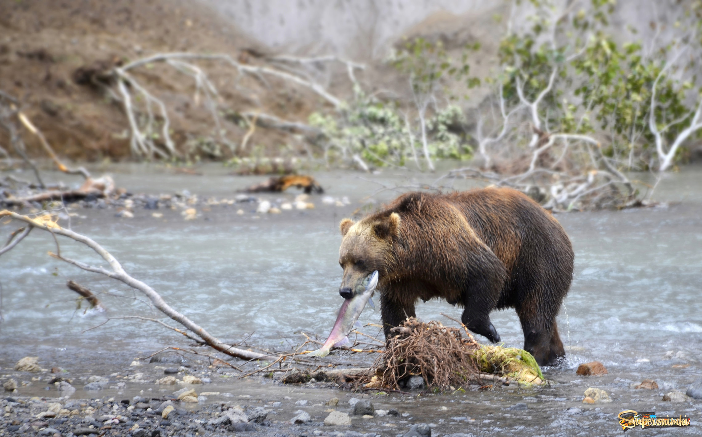 Удачная рыбалка.