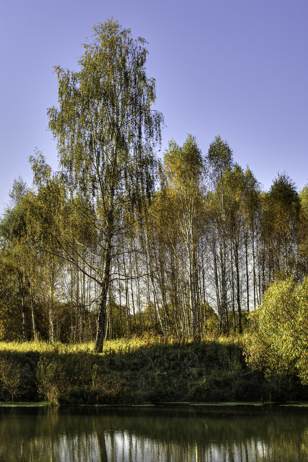 landscape (Река Лама)