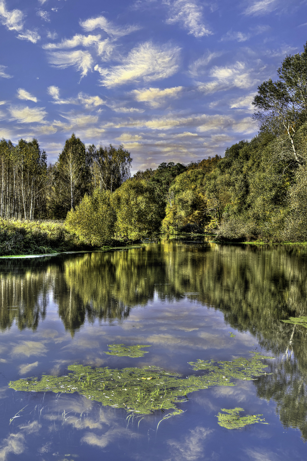 landscape (Река Лама)