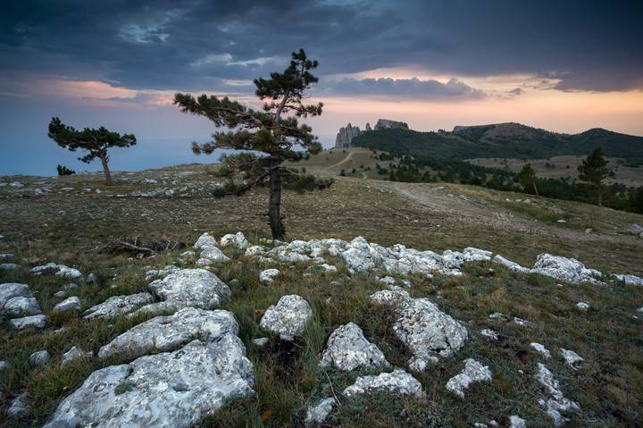 Не время собирать