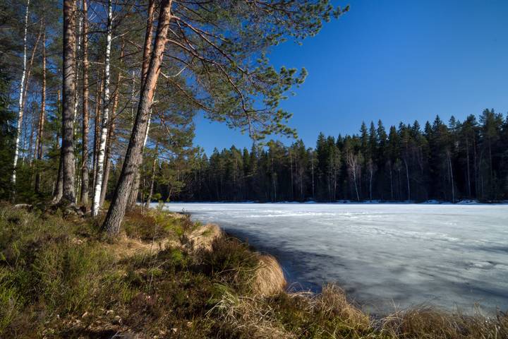Молочная река
