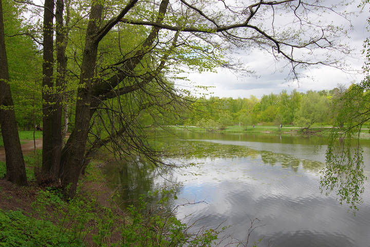 Верхний Кузьминский пруд