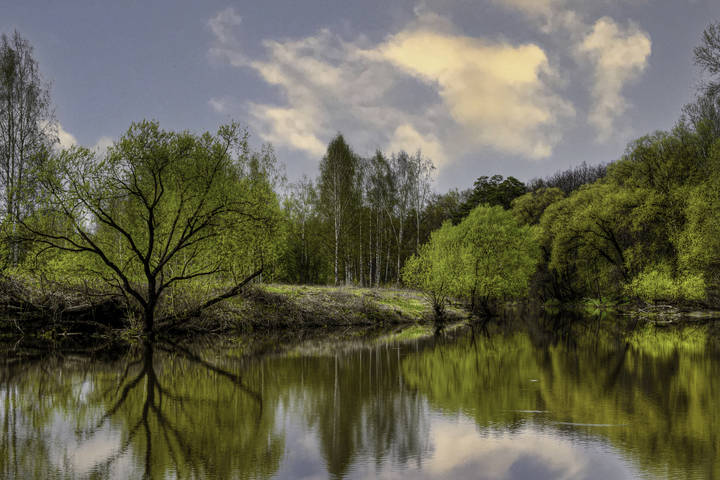 landscape (Река Лама)