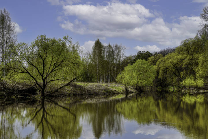 landscape (Река Лама)