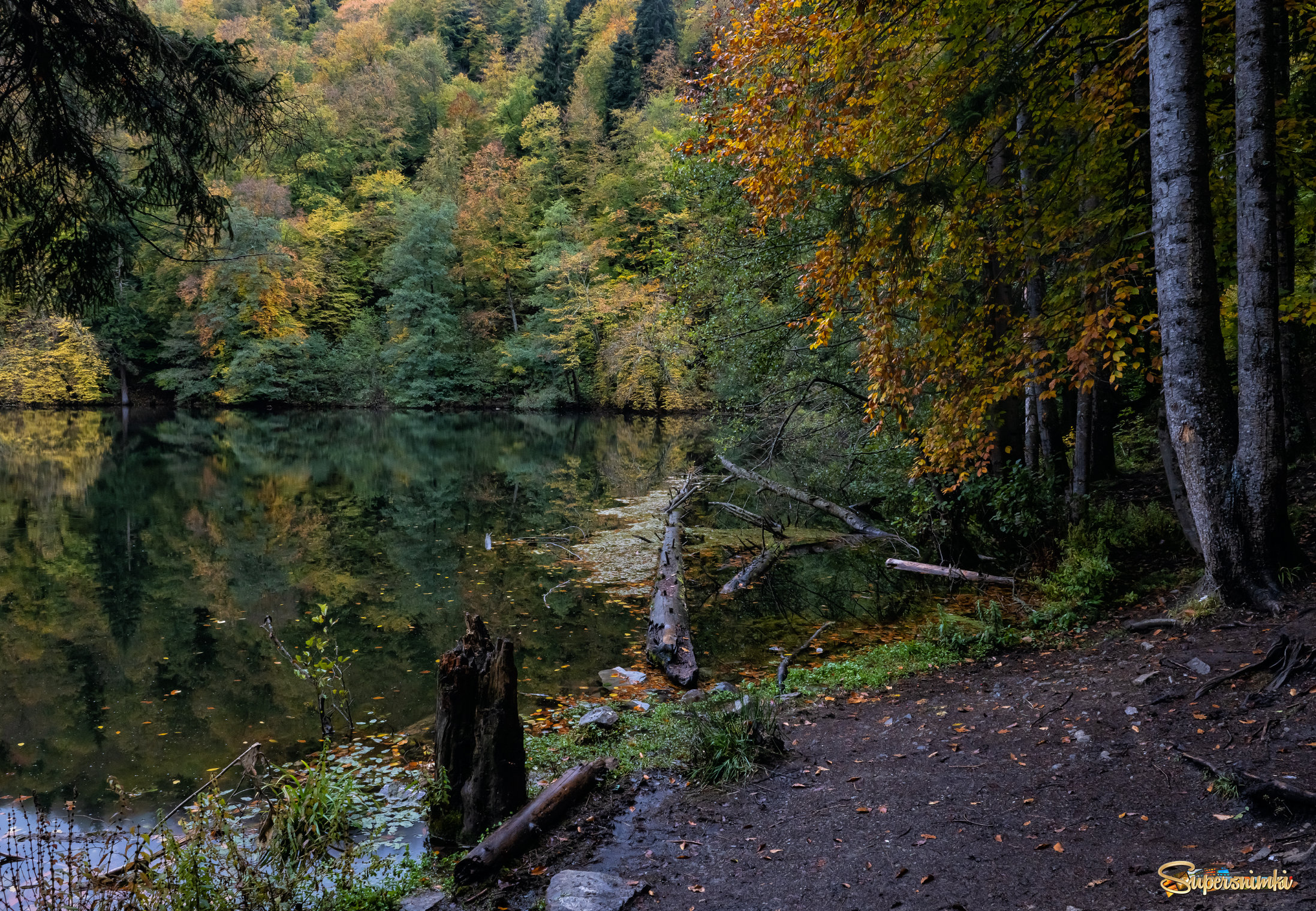 Глухомань