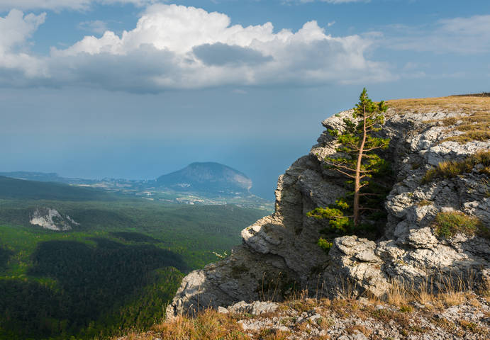 На семи ветрах