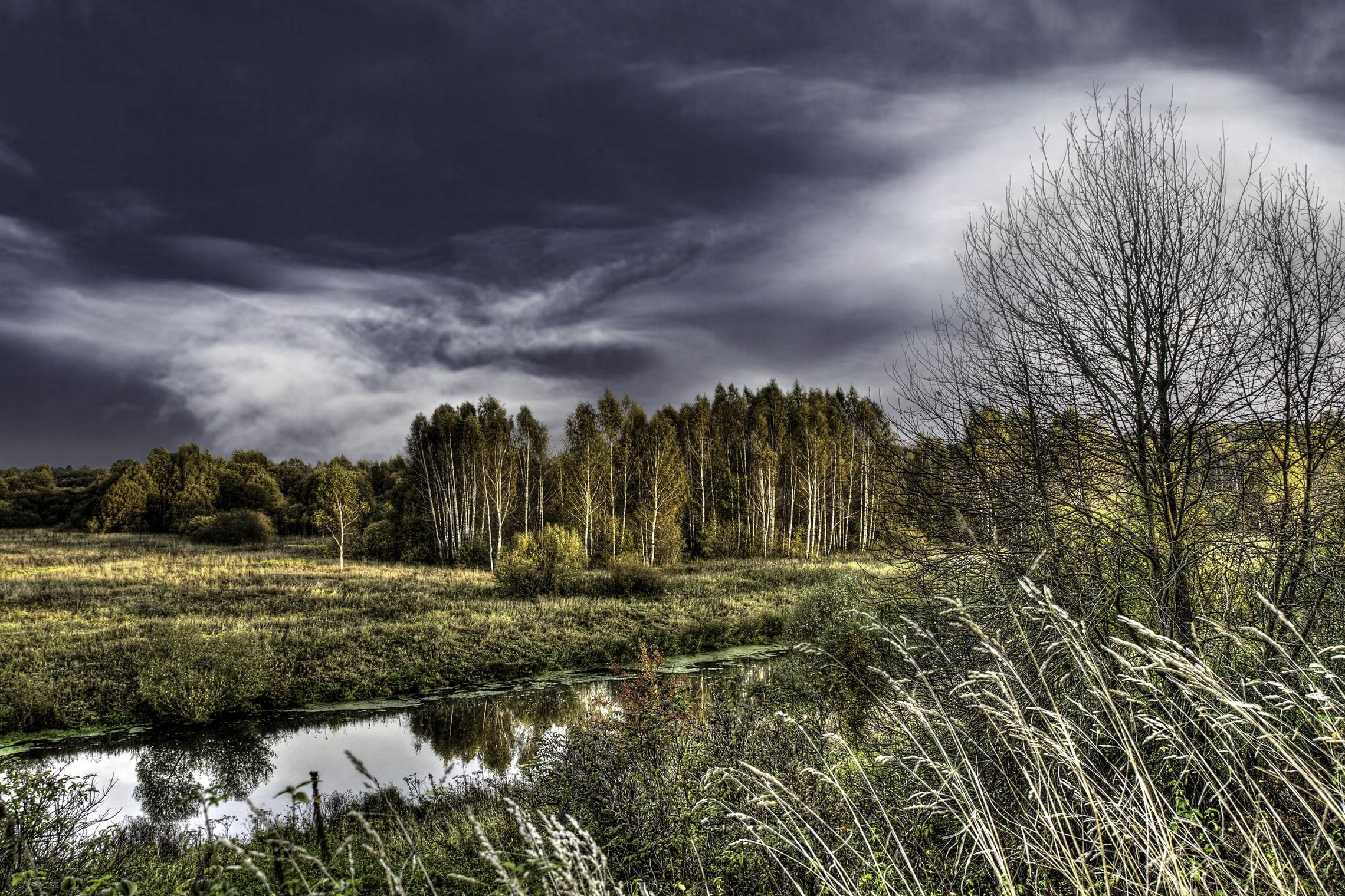 landscape (Река Лама)