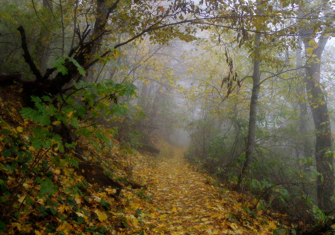 Осенним утром.....